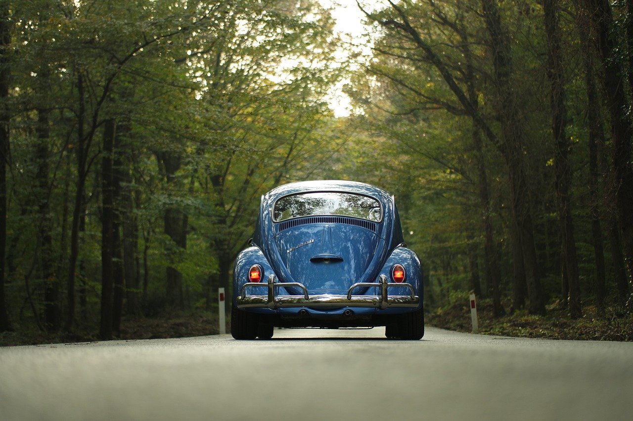 vw, beetle, car